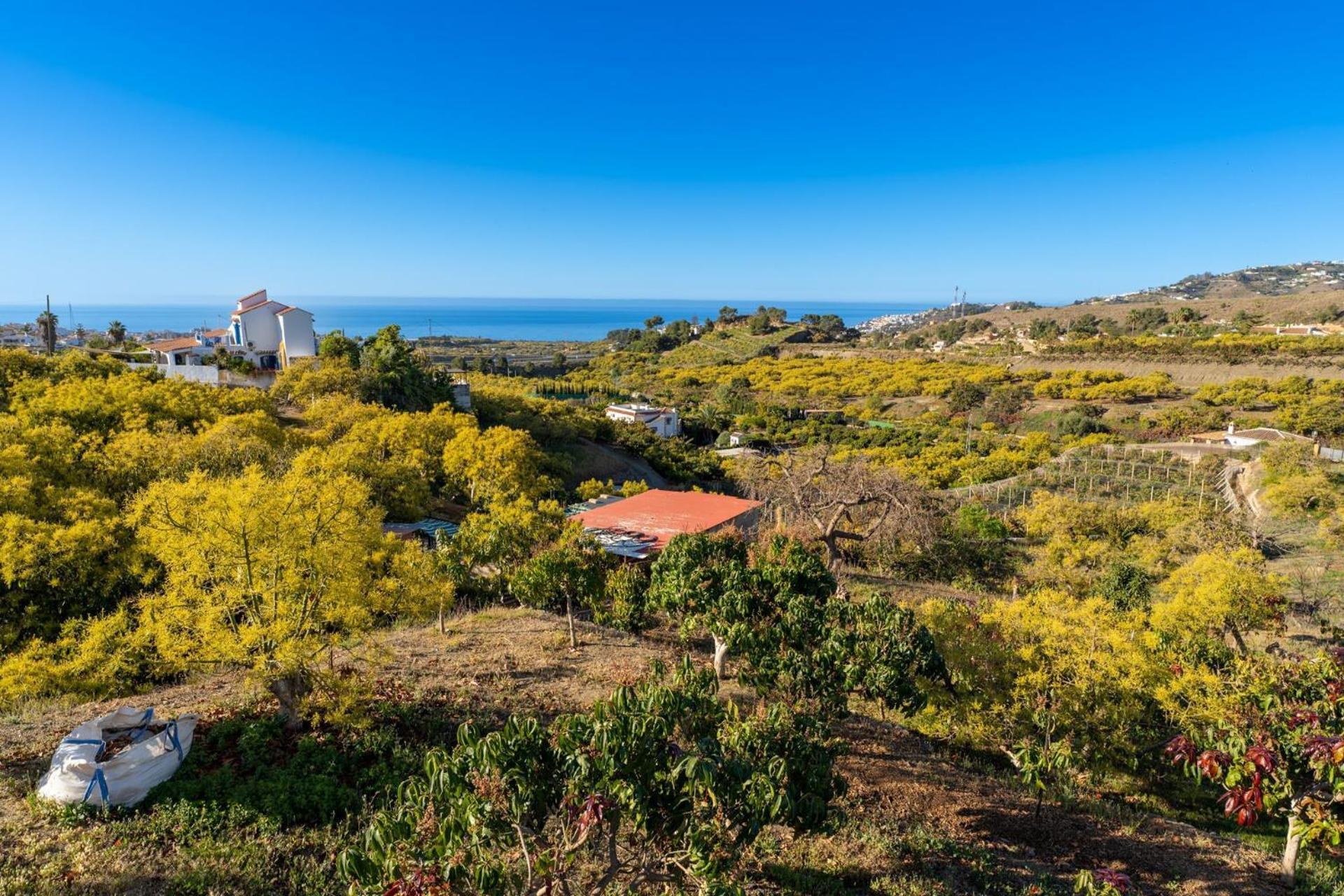 Casa Herrero Nerja Ngoại thất bức ảnh
